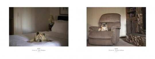 Senior Dogs Across America - Nancy LeVine