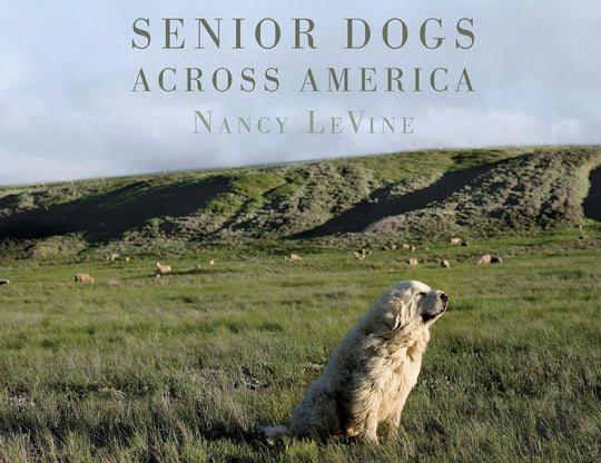 Senior Dogs Across America - Nancy LeVine