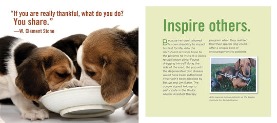 Really Important Stuff My Dog Has Taught Me