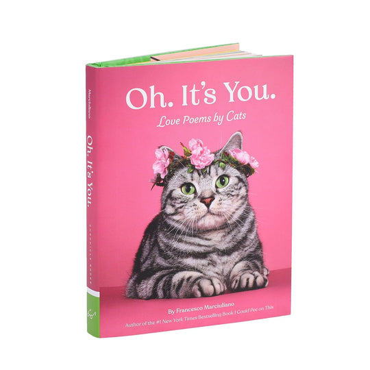 Oh. It's You.