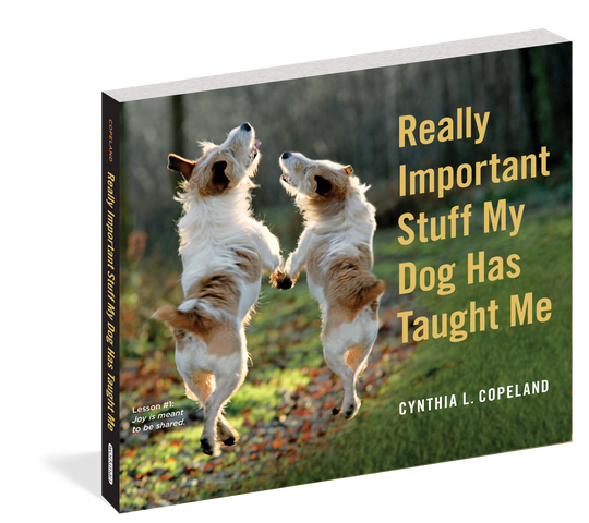 Really Important Stuff My Dog Has Taught Me