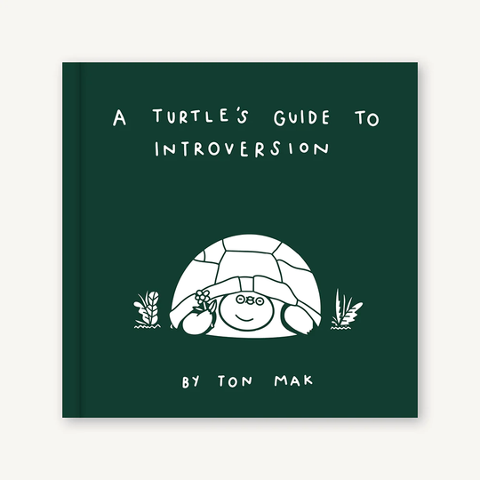 A Turtle's Guide to Introversion