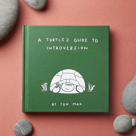 A Turtle's Guide to Introversion