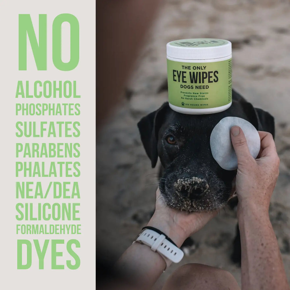 COMING SOON! - The Only Eye Wipes Dogs Need