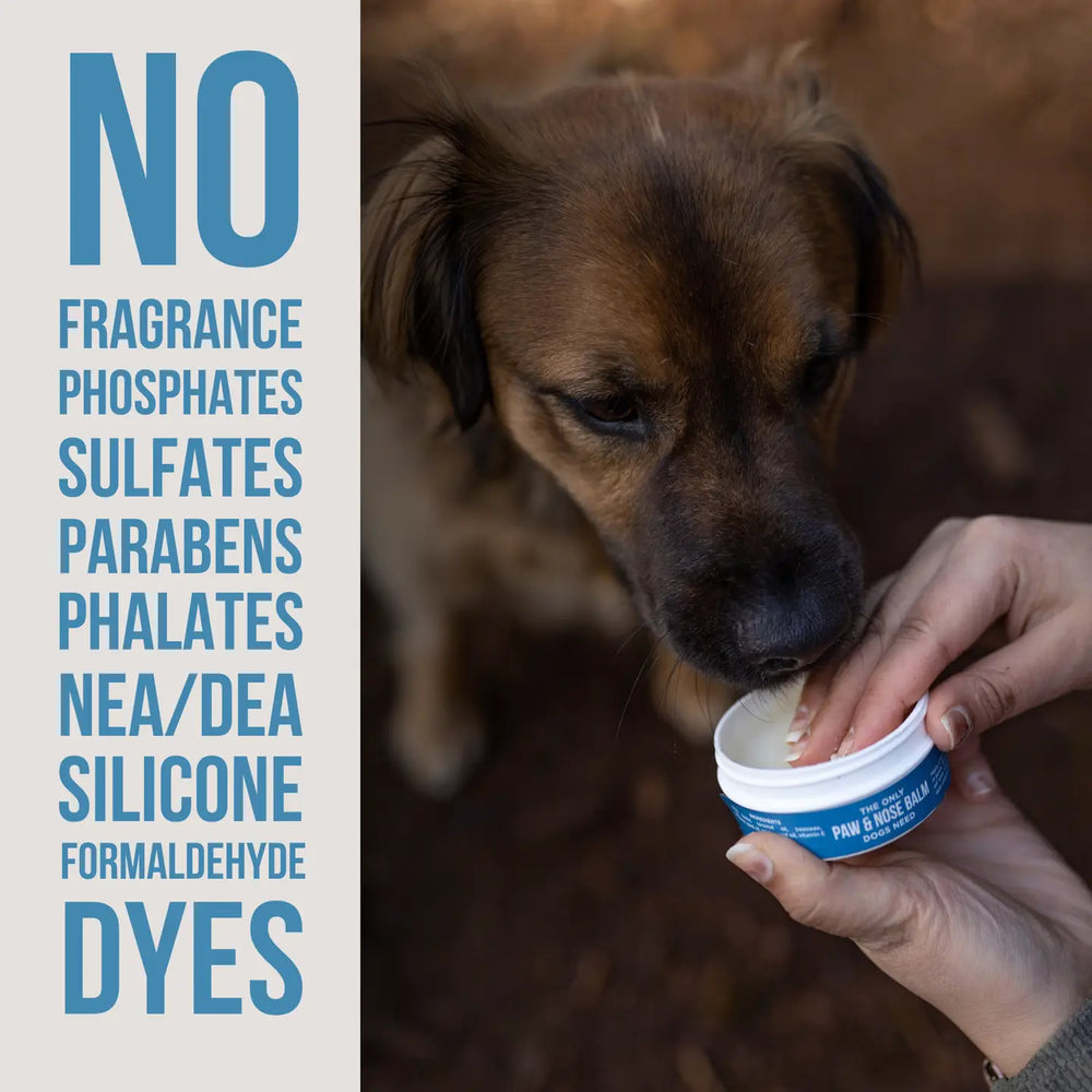 COMING SOON! - The Only Paw & Nose Balm Dogs Need