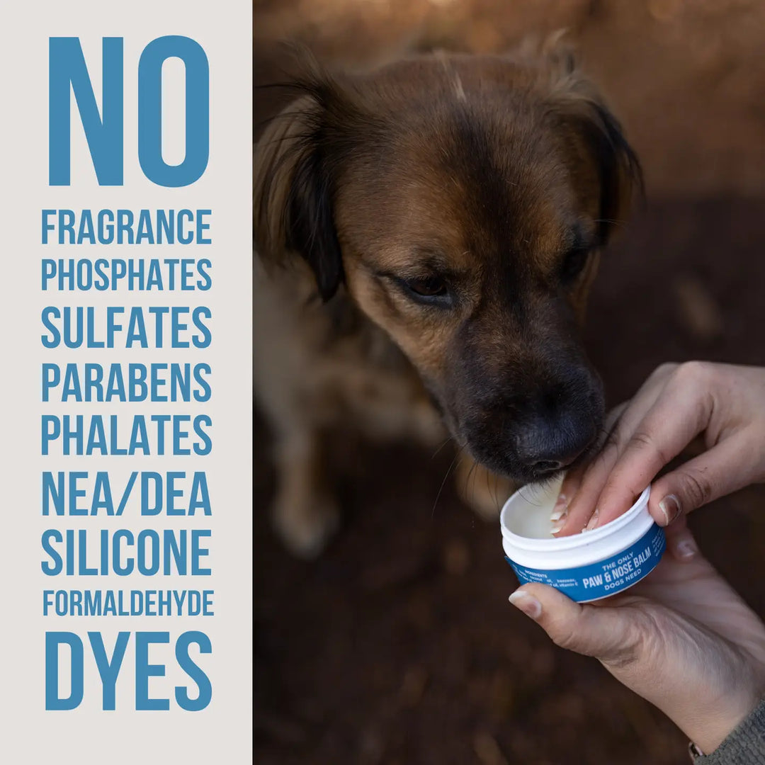 COMING SOON! - The Only Paw & Nose Balm Dogs Need