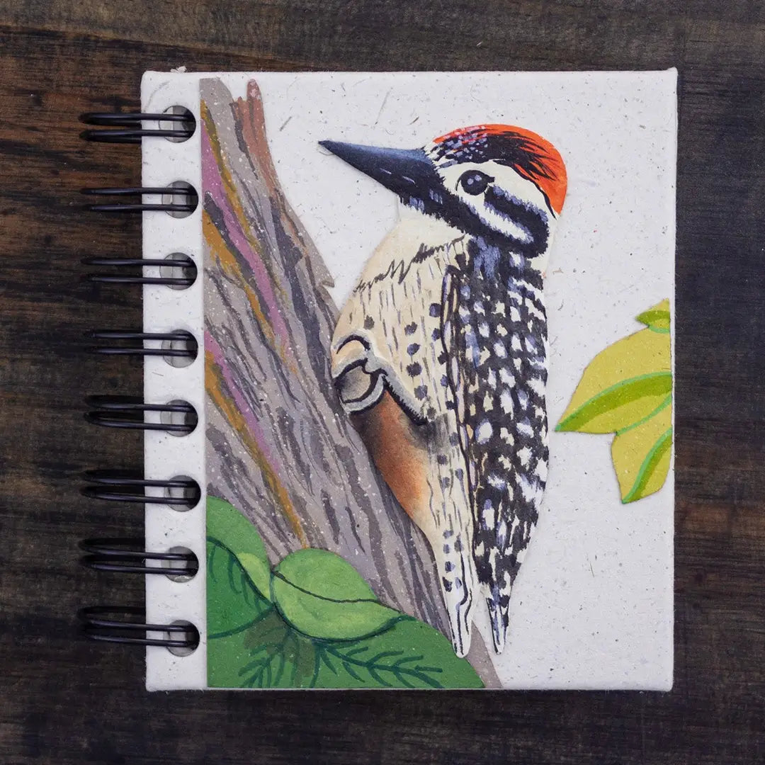 Small Notebook - Woodpecker
