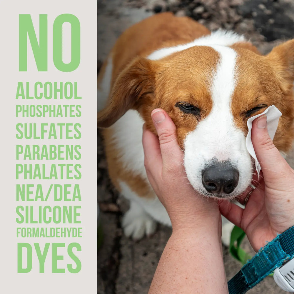 COMING SOON! - The Only Eye Tear Stain Remover Dogs Need