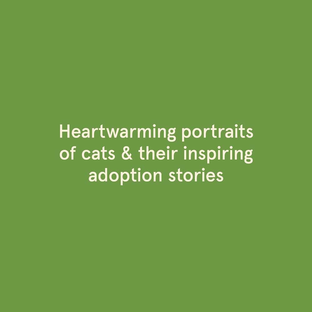 Rescue Cats: Portraits and Stories