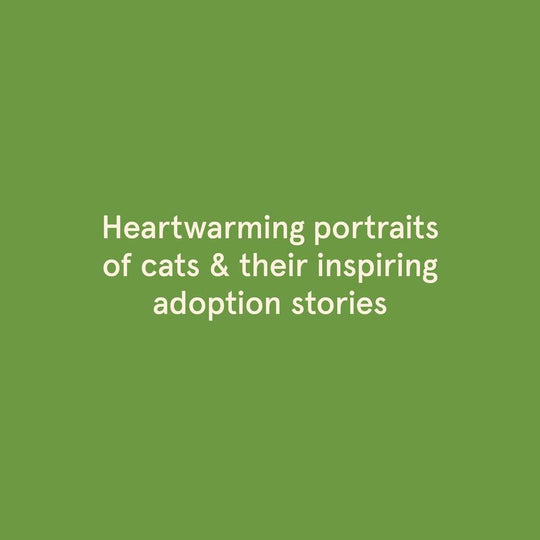 Rescue Cats: Portraits and Stories
