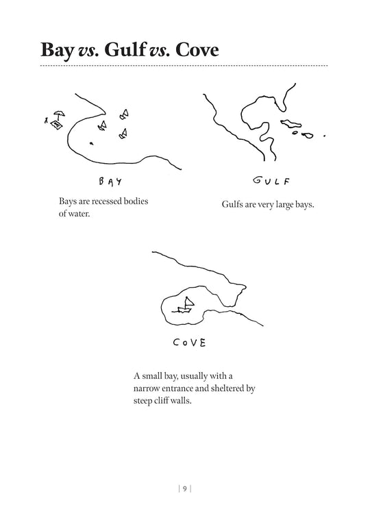 Dictionary of Fine Distinctions