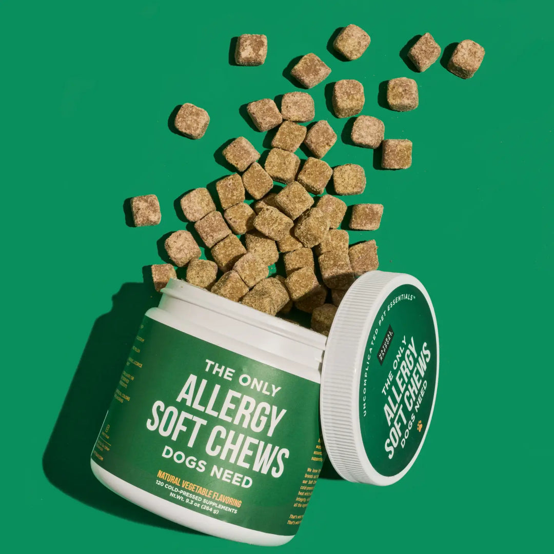 COMING SOON! - The Only Allergy Soft Chews Dogs Needs