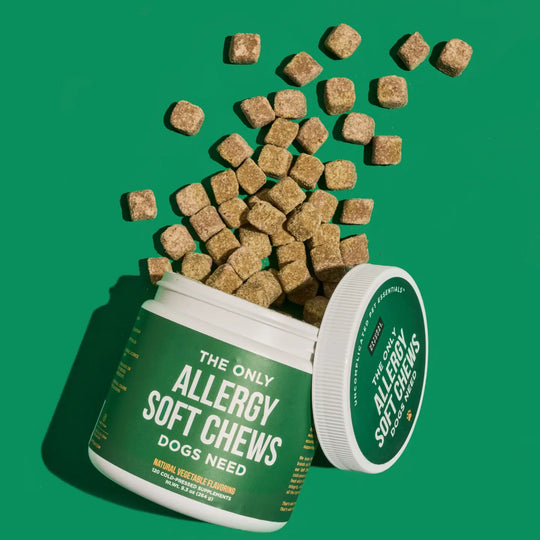 COMING SOON! - The Only Allergy Soft Chews Dogs Needs