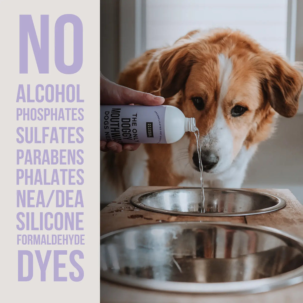 COMING SOON! -  The Only Doggy Mouthwash Dogs Need