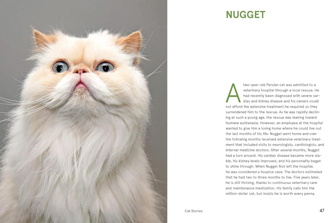 Rescue Cats: Portraits and Stories