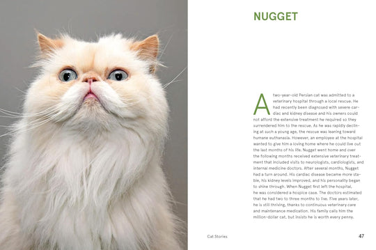 Rescue Cats: Portraits and Stories