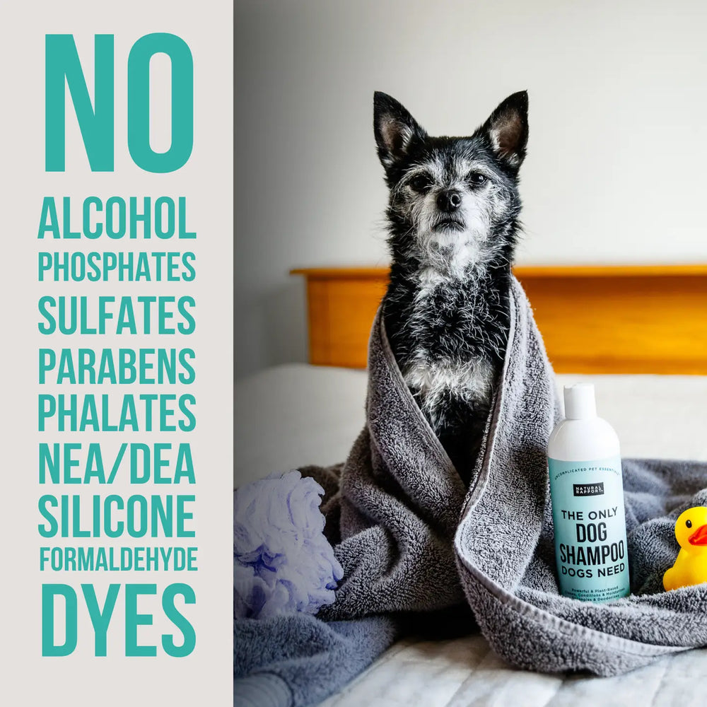 COMING SOON! -  The Only Dog Shampoo Dogs Need