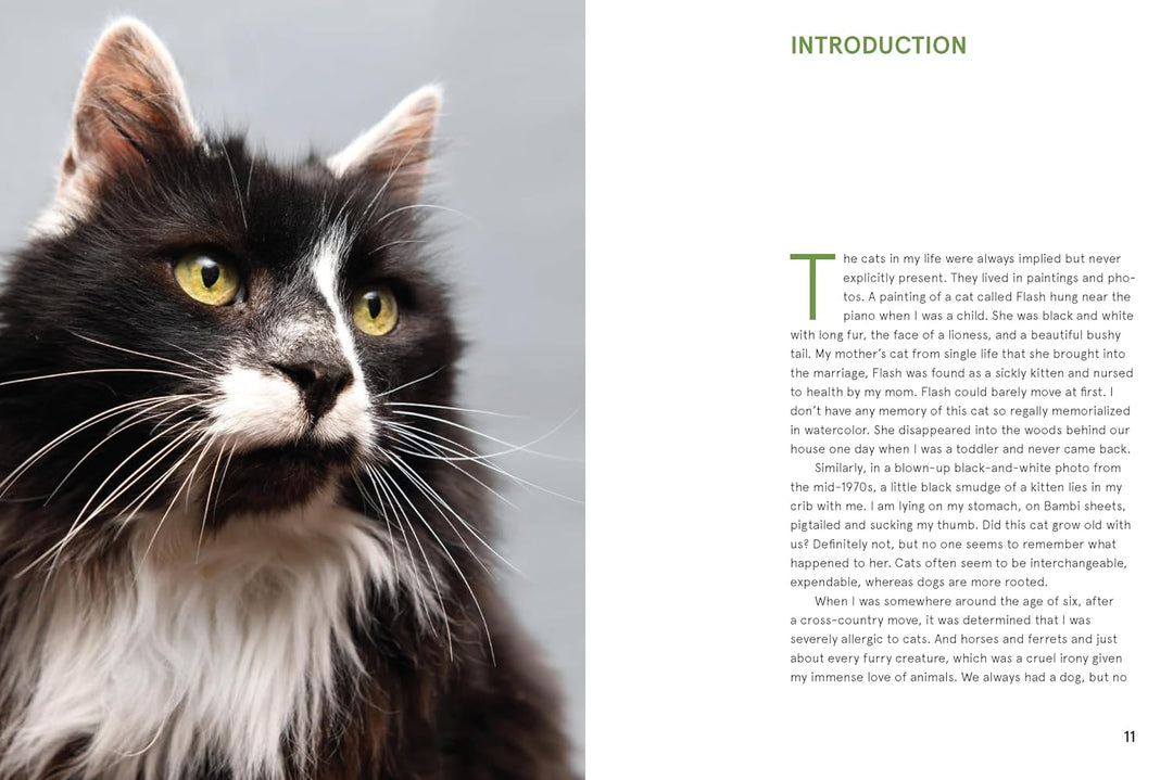 Rescue Cats: Portraits and Stories
