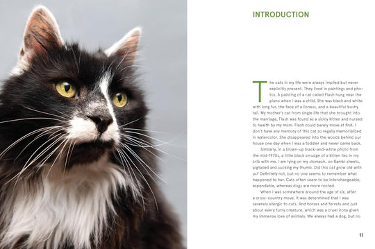Rescue Cats: Portraits and Stories