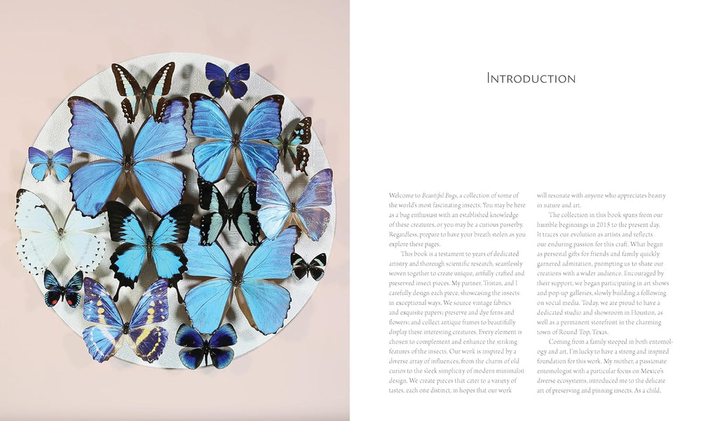 Beautiful Bugs: A Curious Collection of Exquisite Insects