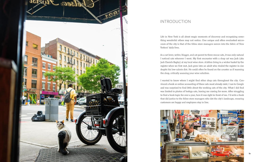 Shop Cats of New York