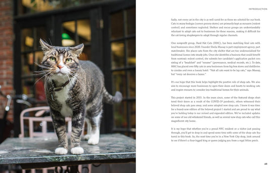 Shop Cats of New York