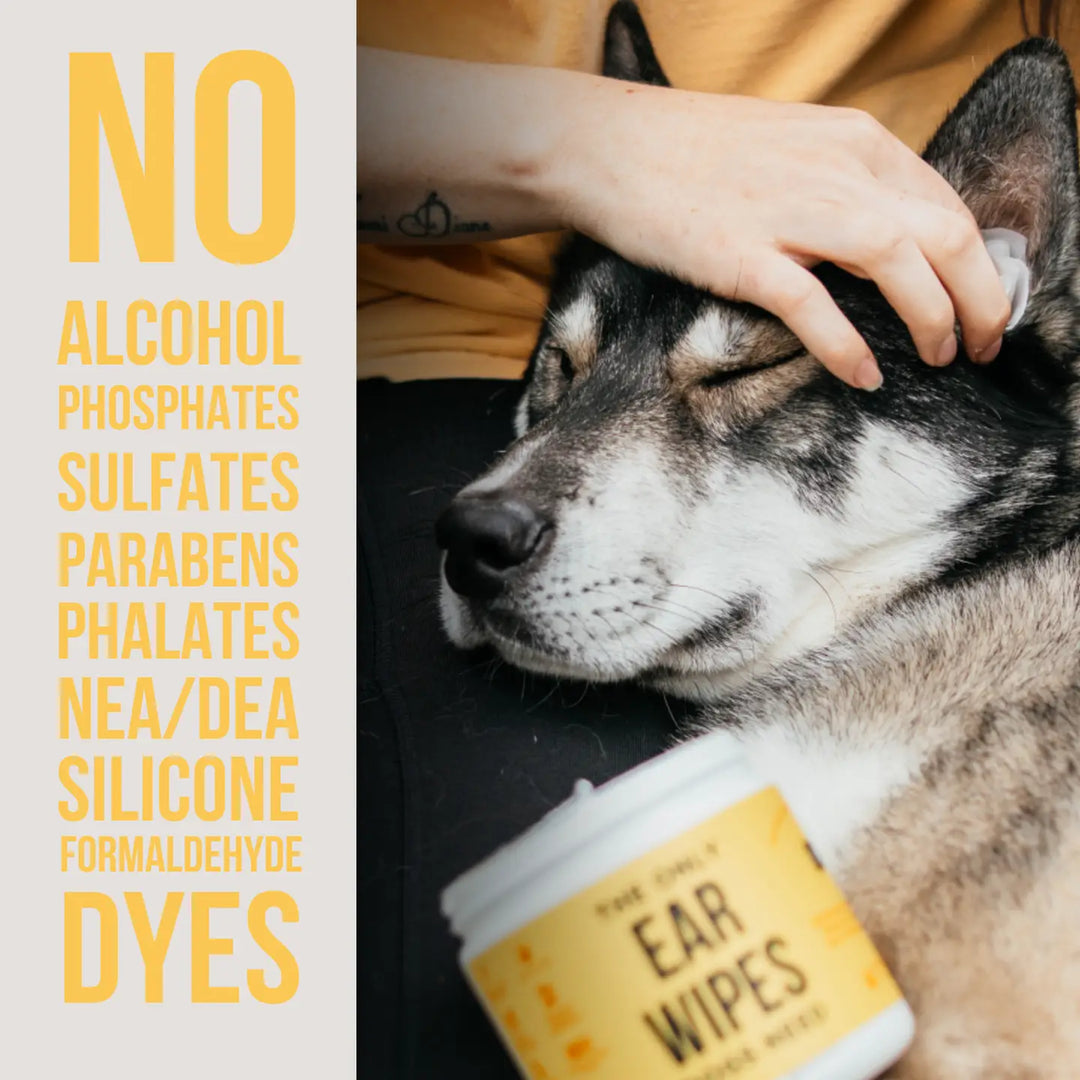 COMING SOON! - The Only Ear Wipes Dogs Need