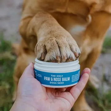 COMING SOON! - The Only Paw & Nose Balm Dogs Need