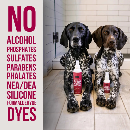 COMING SOON! - The Only Between Bath Spray Dogs Need - Cranberry & Vanilla