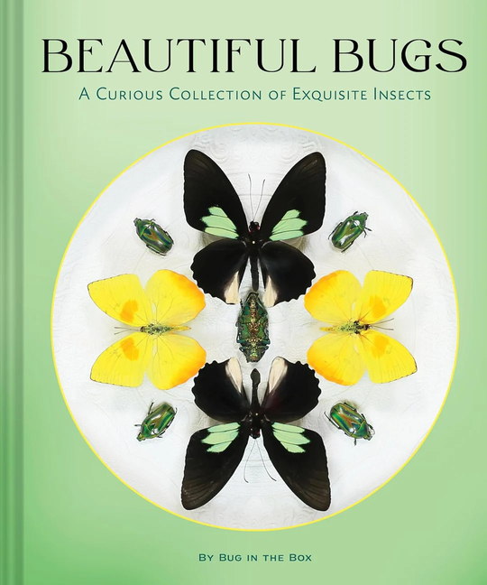 Beautiful Bugs: A Curious Collection of Exquisite Insects