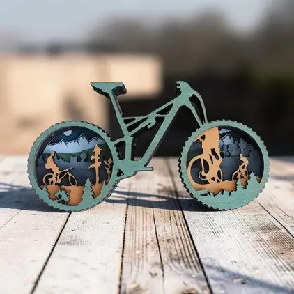 Mountain Bike Shelf Sitter